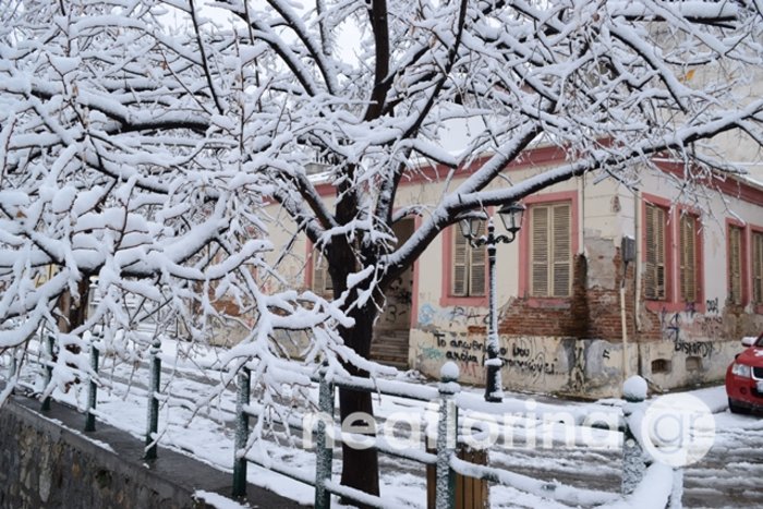 Το έστρωσε στη Φλώρινα: Υπέροχες εικόνες από την πόλη - εικόνα 8
