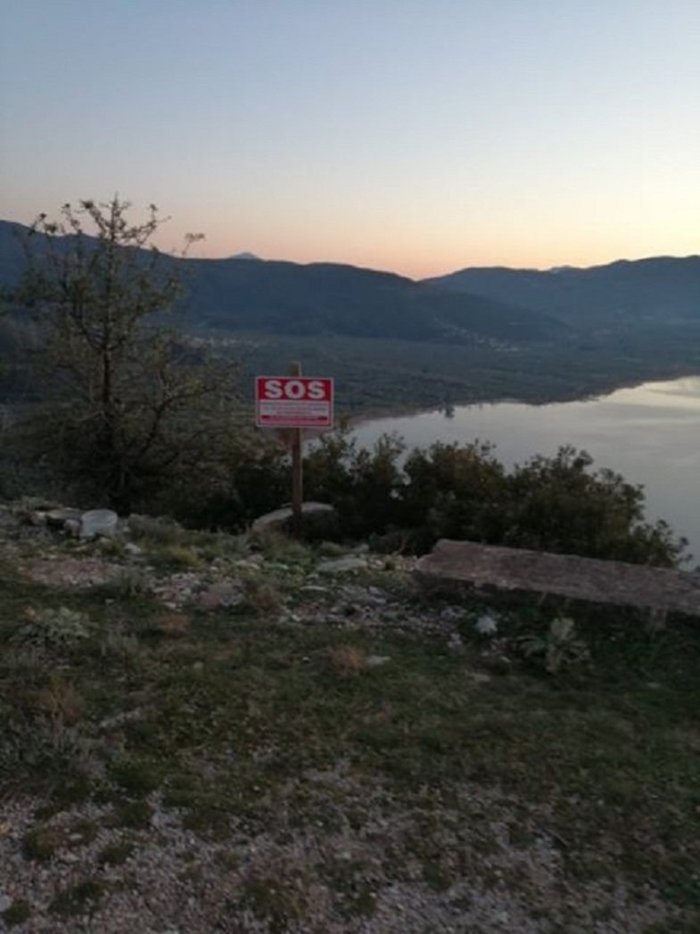 Πινακίδα για να πατήσεις κόρνα και να ταΐσεις μια αδέσποτη σκυλίτσα!