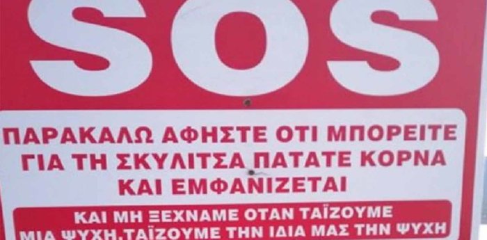 Πινακίδα για να πατήσεις κόρνα και να ταΐσεις μια αδέσποτη σκυλίτσα! - εικόνα 2